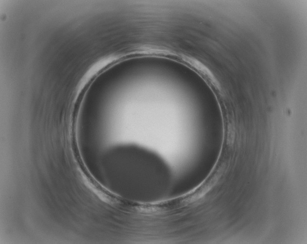 X0000082691231200701261212