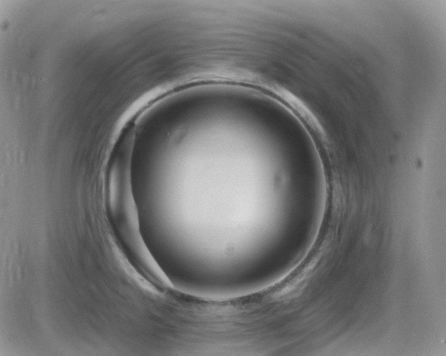 X0000082691238200701261212