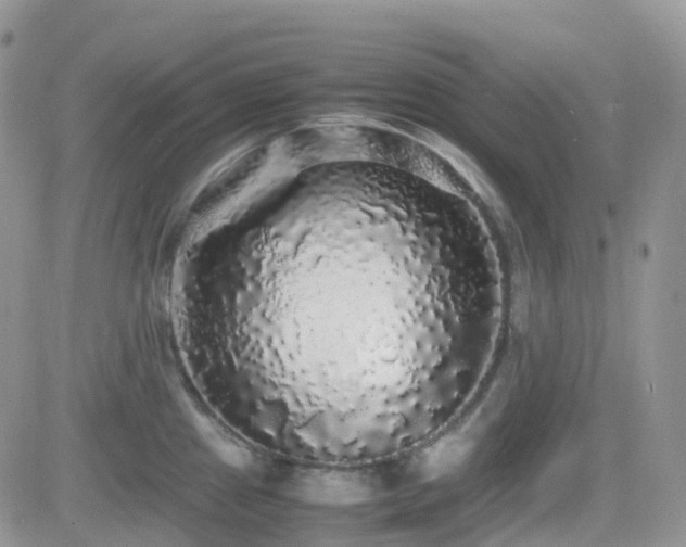 X0000082691241200701261212