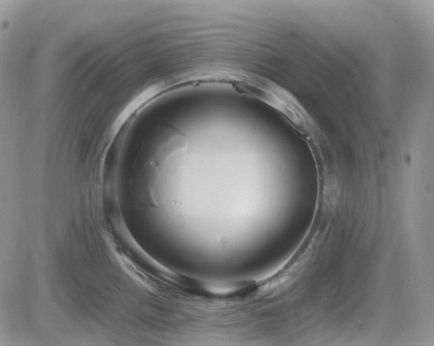 X0000082691242200701261212