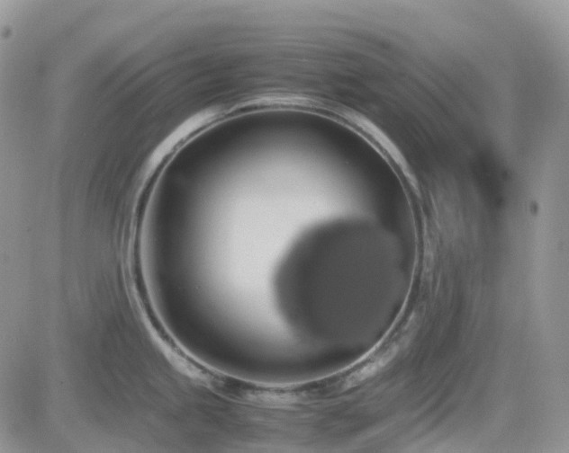 X0000082691245200701261213