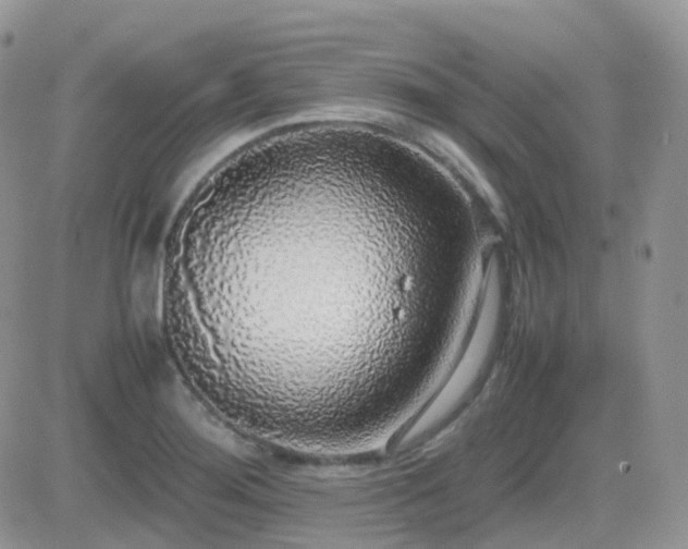 X0000082691276200701261211