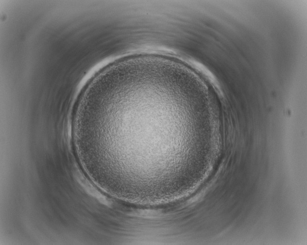 X0000082691280200701261211