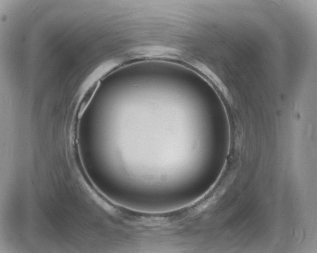 X0000082691285200701261211