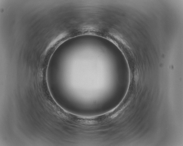 X0000082691309200701261210