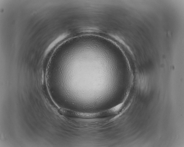 X0000082691317200701261211