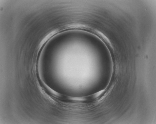 X0000082691330200701261211