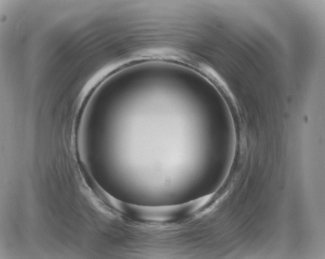 X0000082691336200701261211