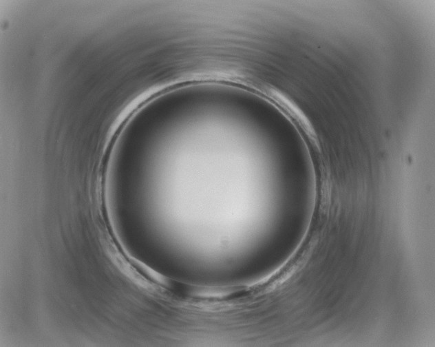 X0000082691340200701261211