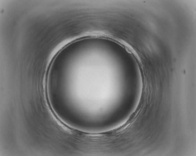 X0000082691343200701261211