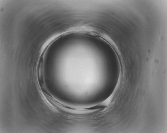 X0000082691344200701261211