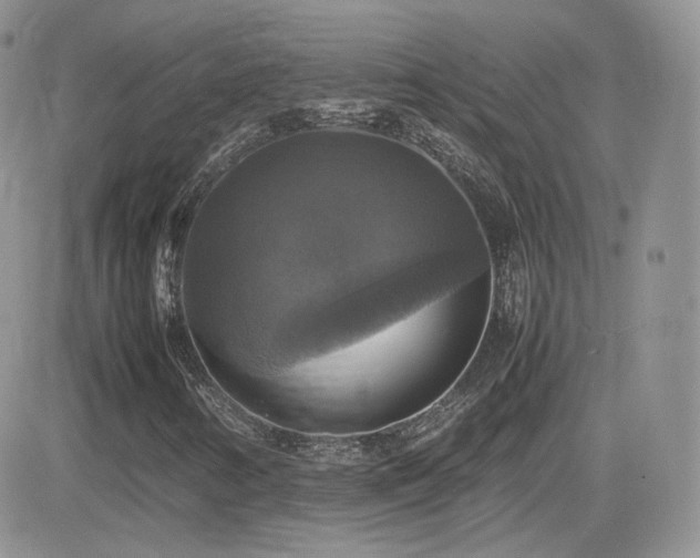 X0000082691346200701261210