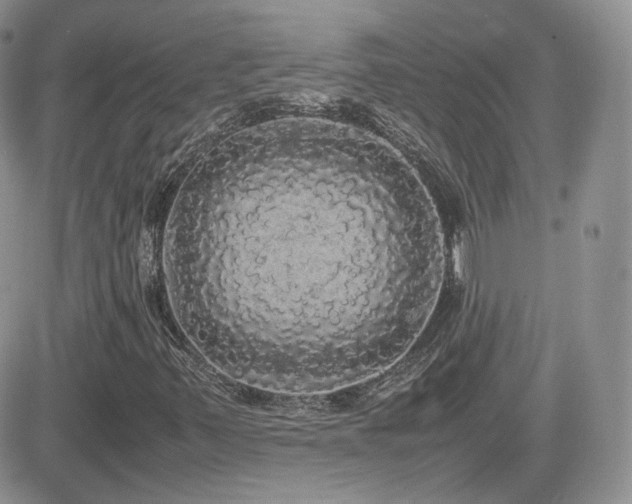 X0000082691347200701261210
