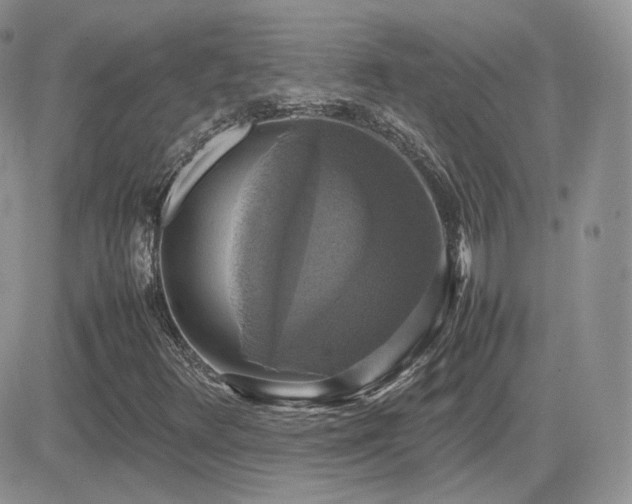 X0000082691348200701261210