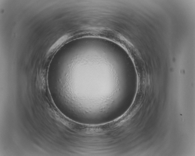 X0000082691354200701261210
