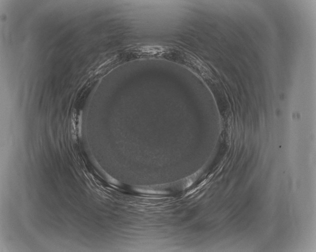X0000082691394200701261209
