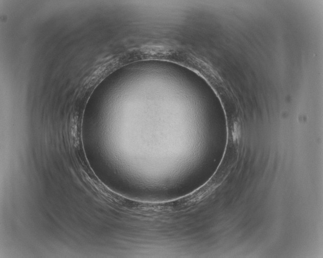 X0000082691396200701261209