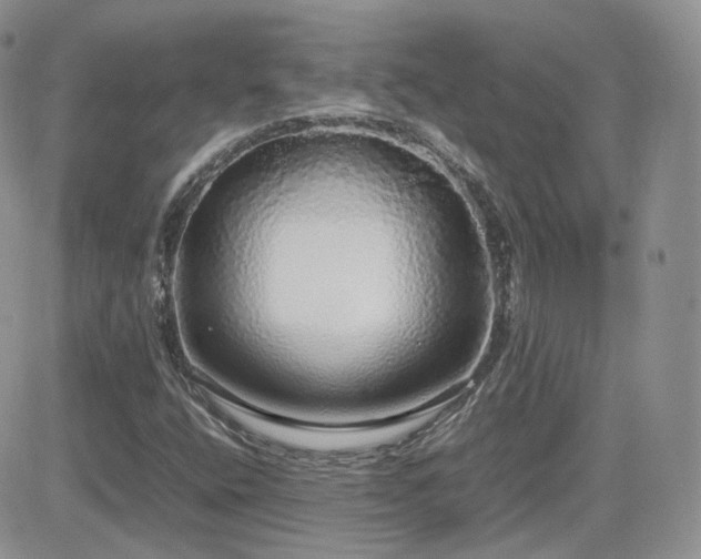 X0000082691400200701261209