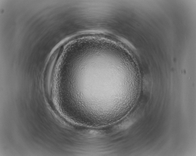 X0000082691412200701261209