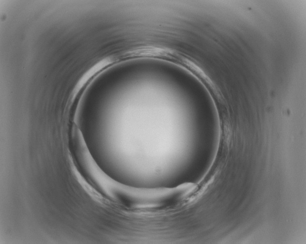 X0000082691426200701261209