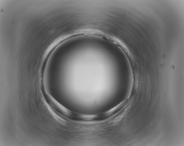 X0000082691430200701261209