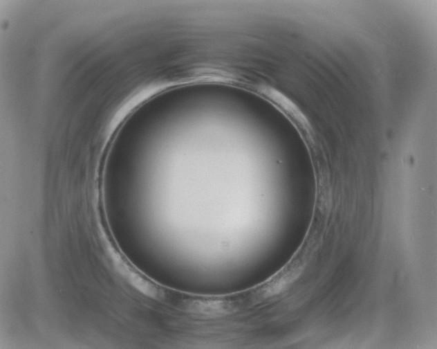 X0000082691431200701261209