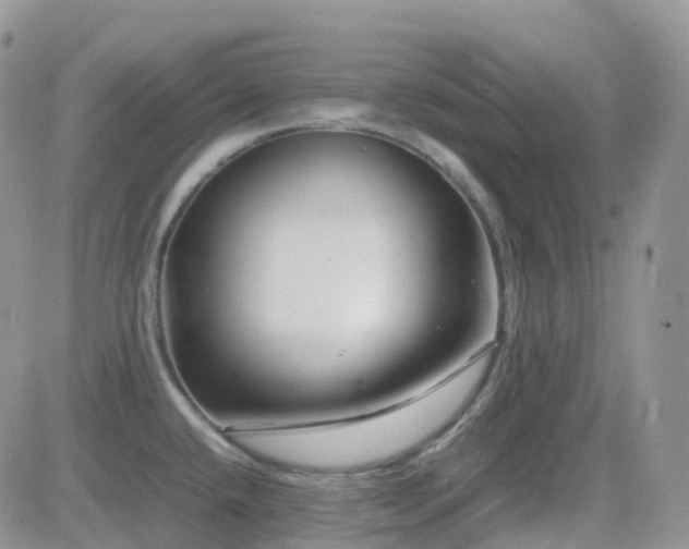 X0000082691432200701261209