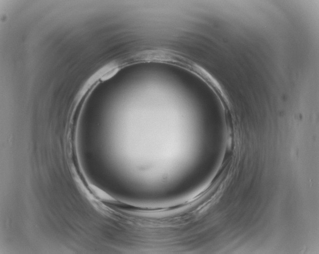 X0000082691434200701261209