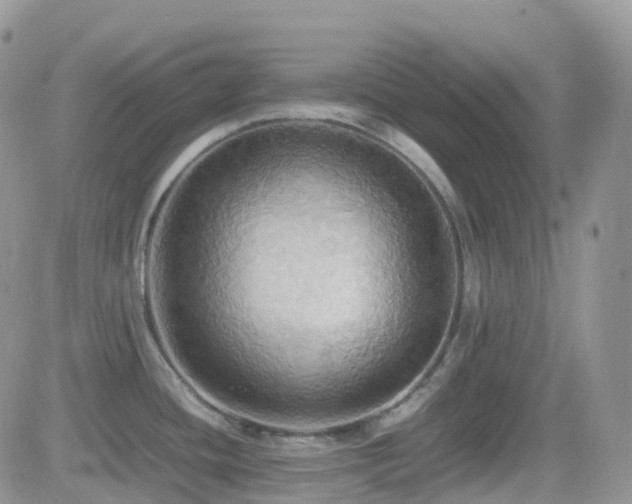 X0000082691436200701261209