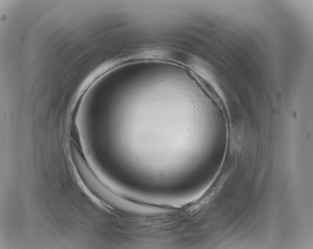 X0000082691437200701261209