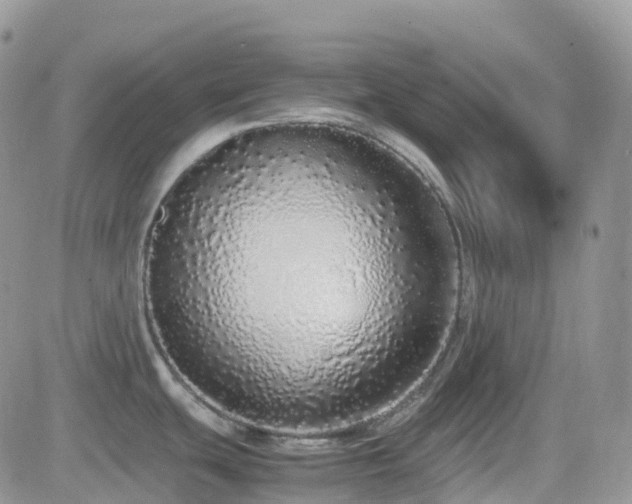 X0000082691439200701261209