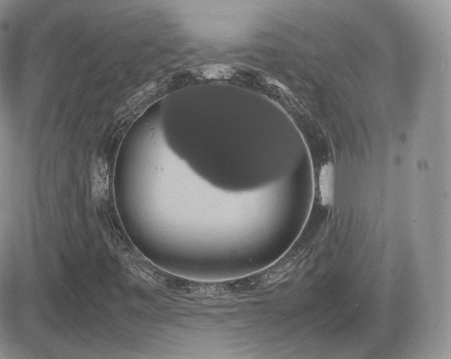 X0000082691443200701261209