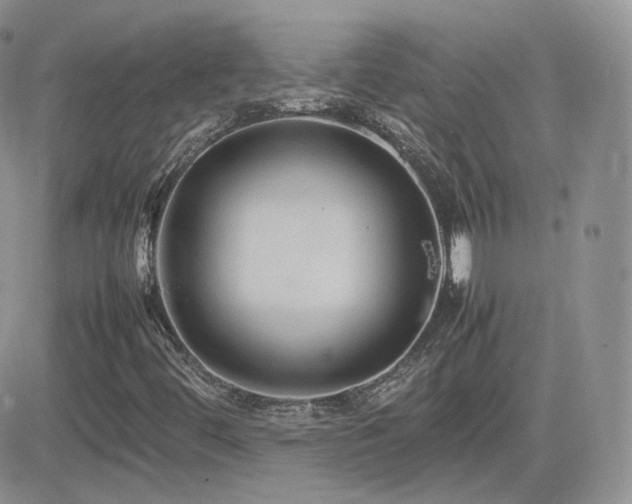 X0000082691444200701261209