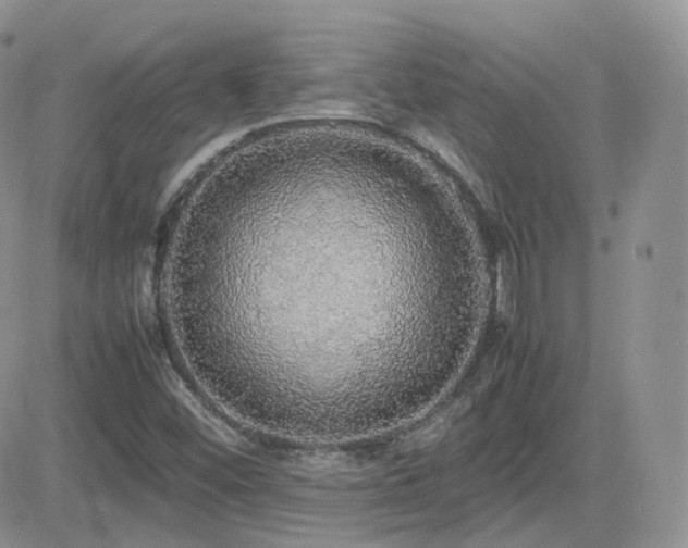 X0000082691452200701261208