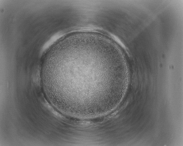 X0000082691456200701261208