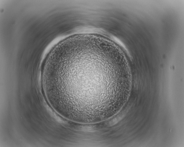 X0000082691472200701261208