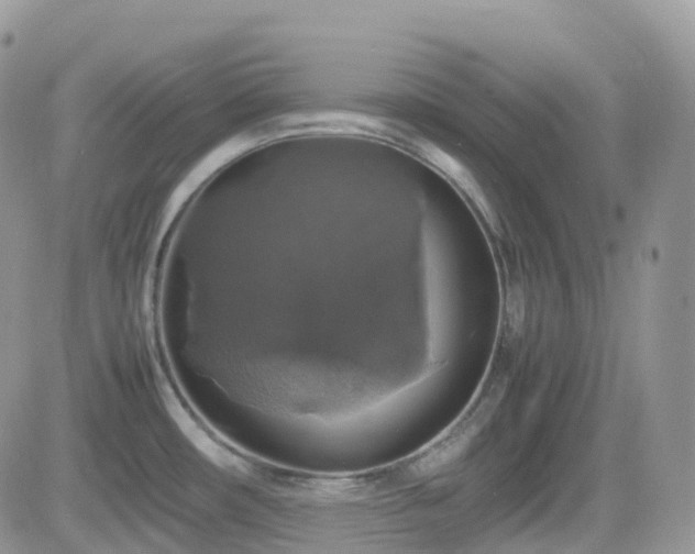 X0000082691482200701261208