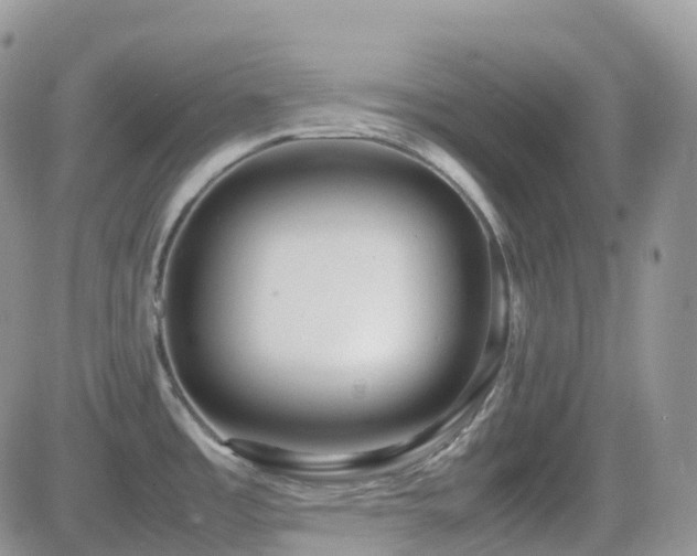 X0000082691485200701261208