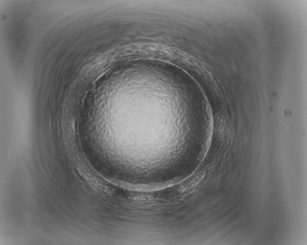 X0000082691489200701261207