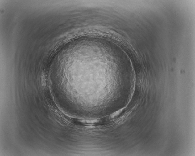 X0000082691490200701261207