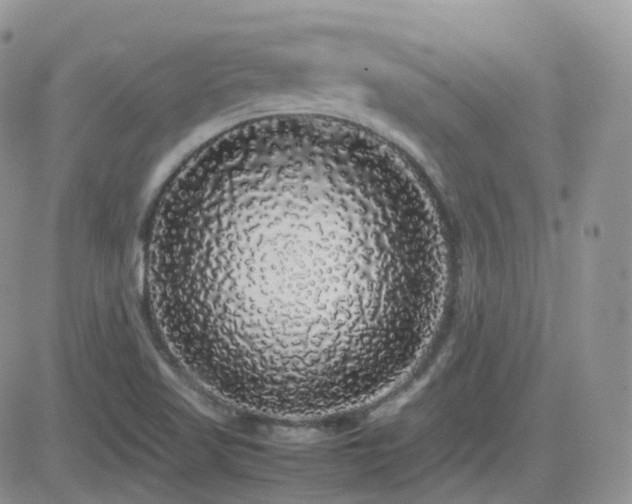 X0000082691509200701261207