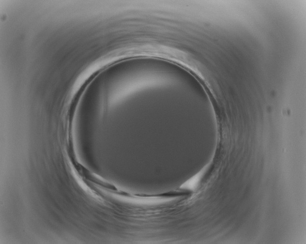 X0000082691515200701261208