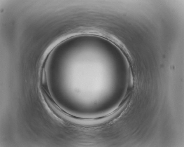 X0000082691520200701261208