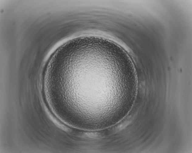 X0000082691523200701261208