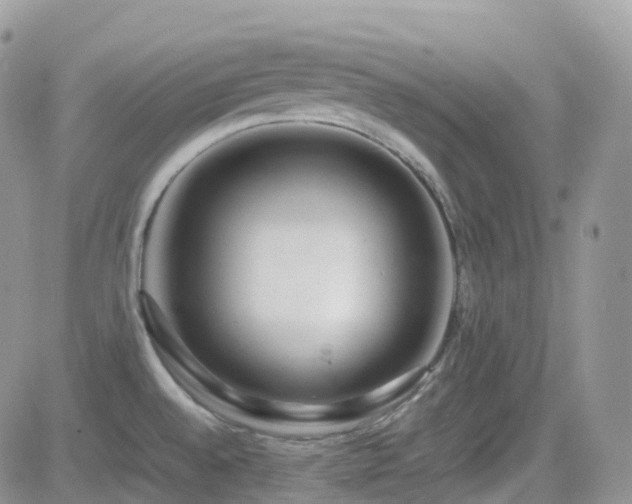 X0000082691528200701261208