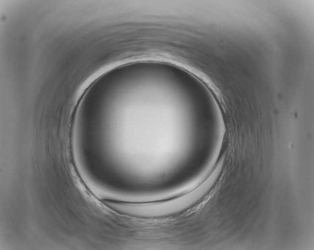 X0000082691534200701261208
