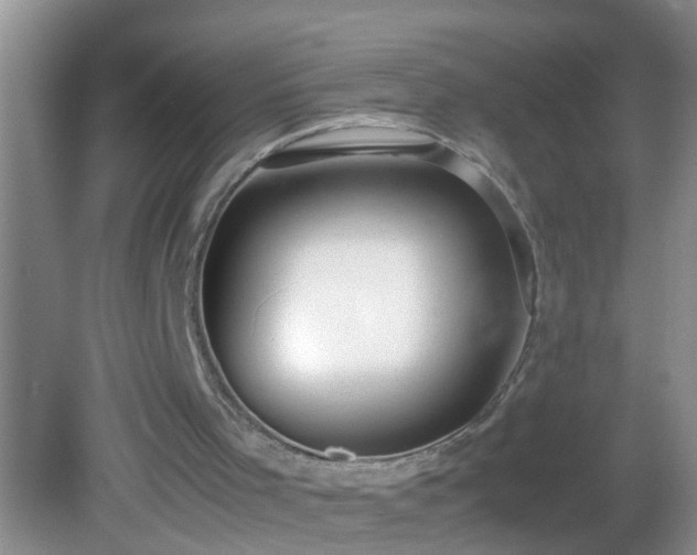 X0000082690001200702021339