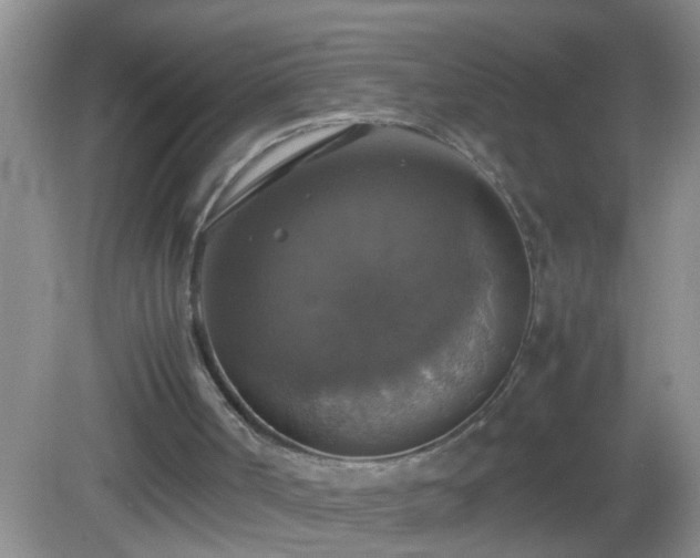 X0000082690002200702021339