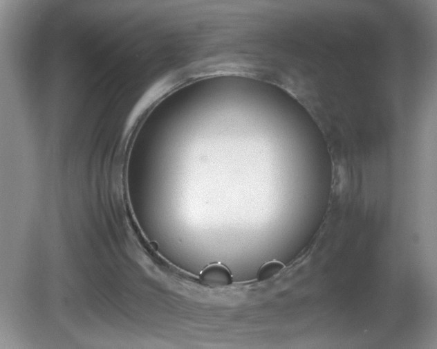 X0000082690004200702021339