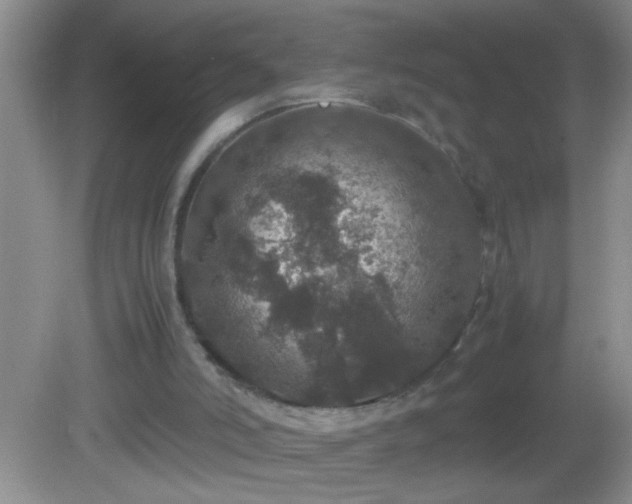 X0000082690006200702021339